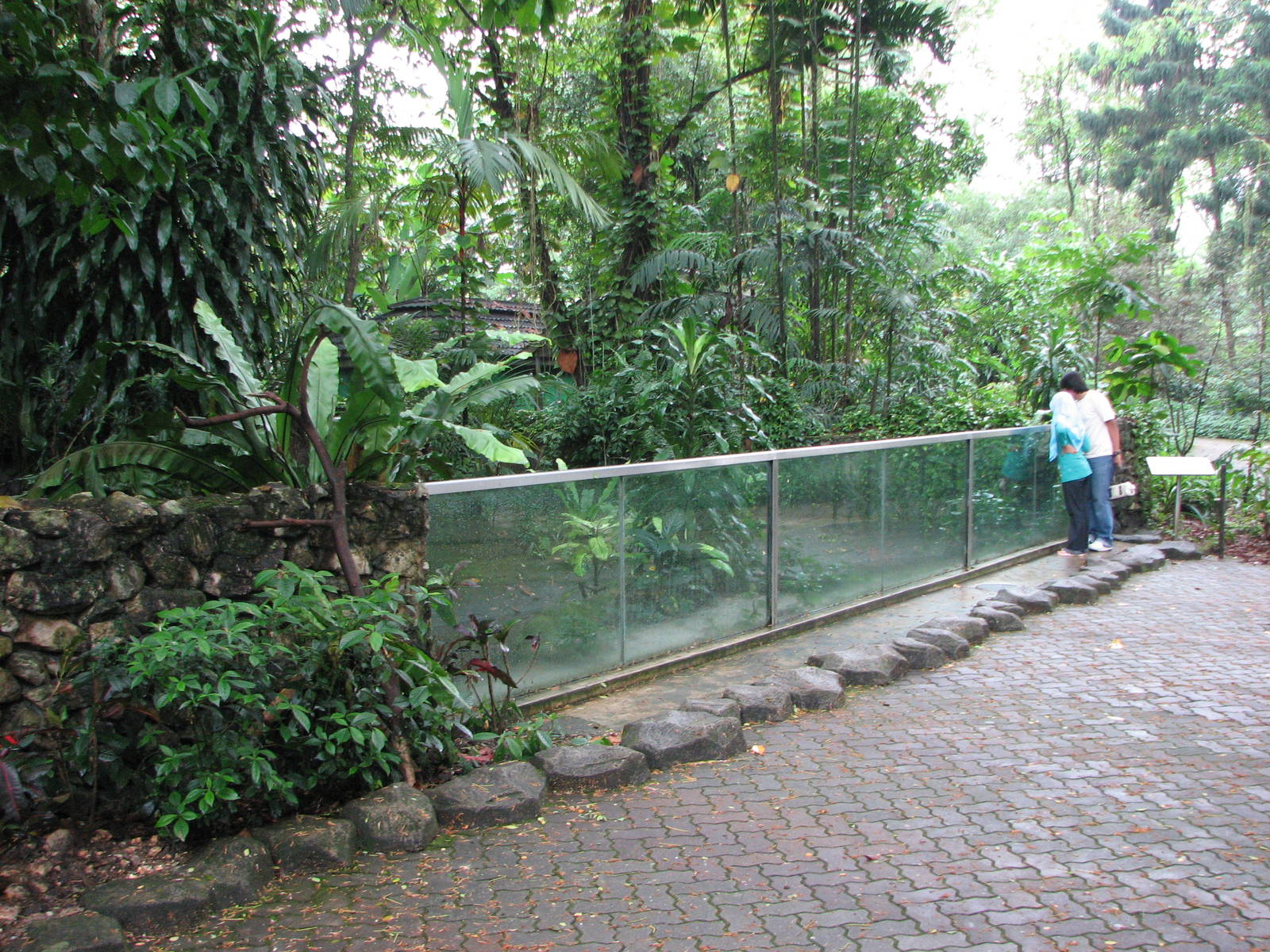 Zoo Negara Malaysia - Front of outside Gavial exhibit