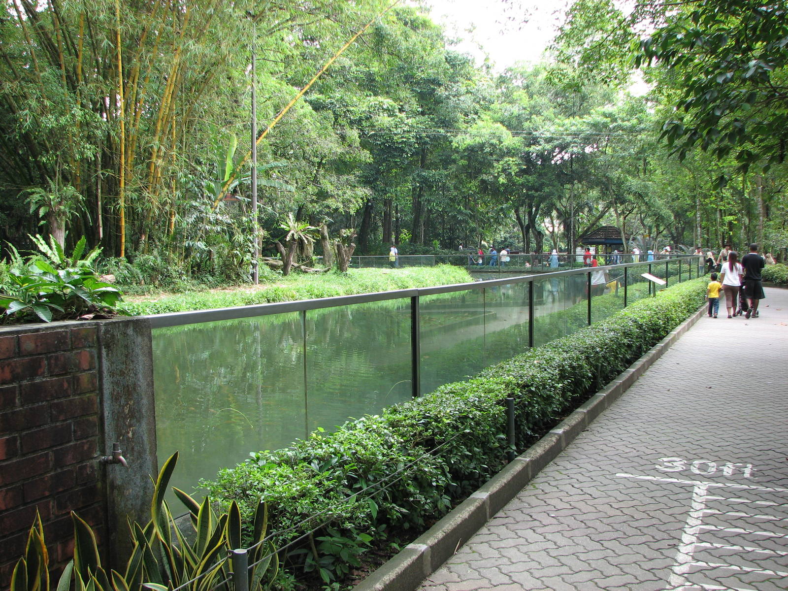 Zoo Negara Malaysia - Front of Sumatran Tiger exhibit