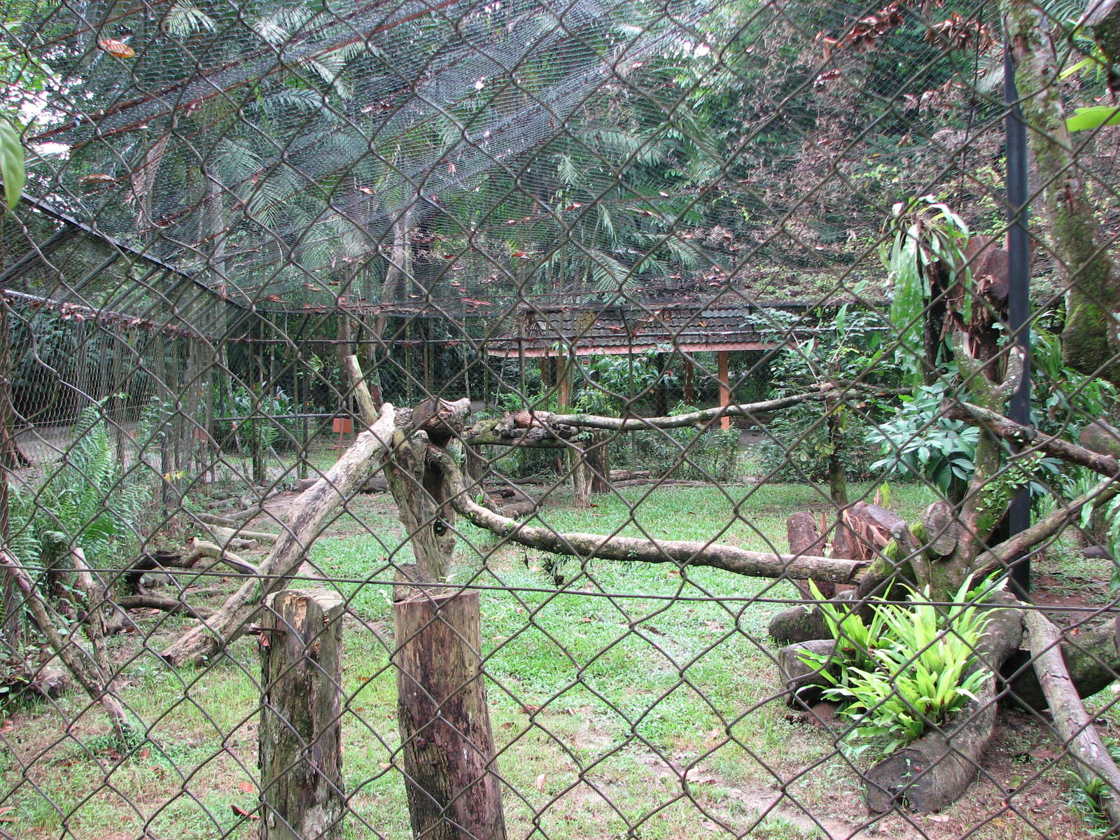 Zoo Negara Malaysia - Indian Leopard enclosure