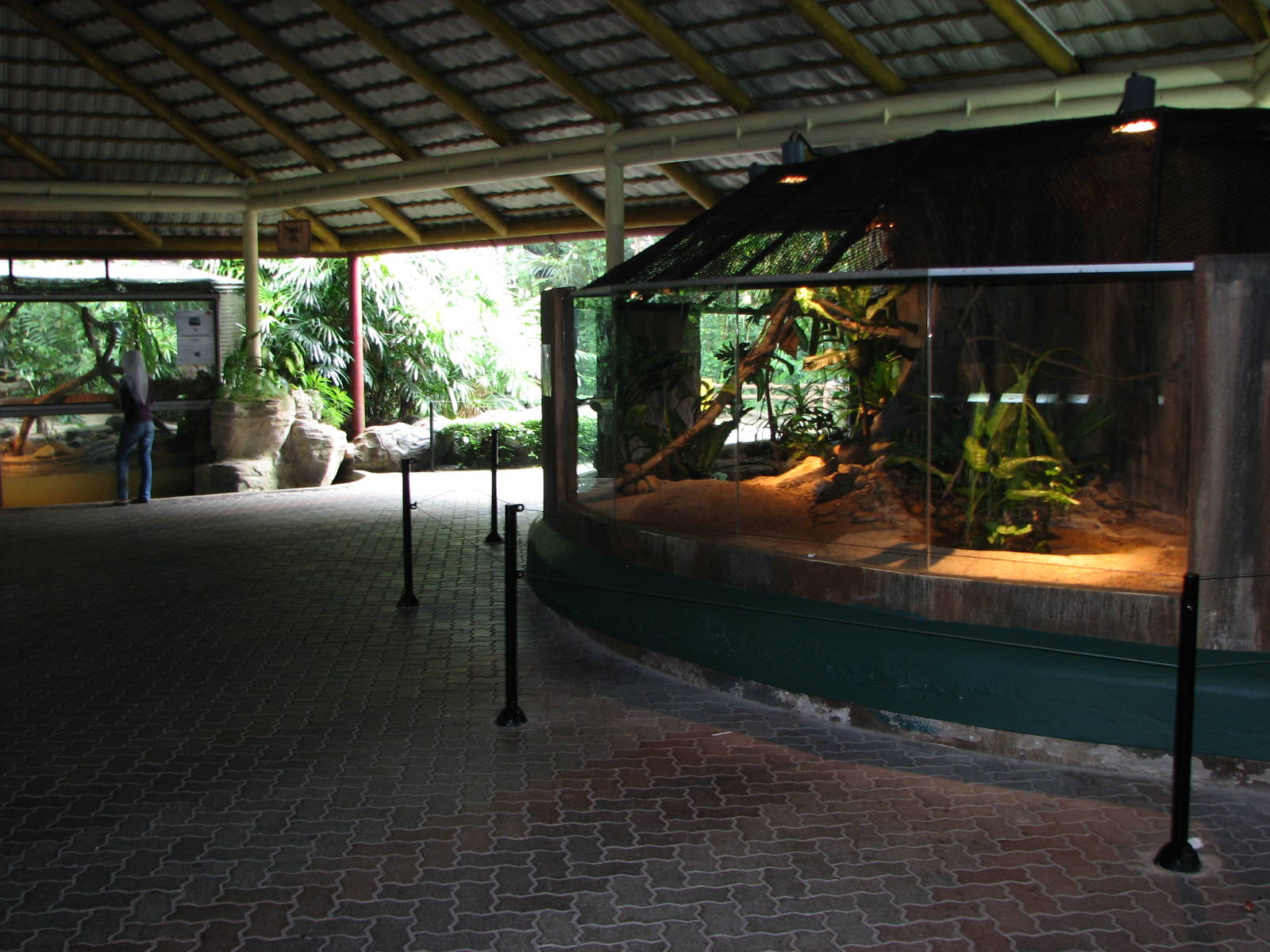 Zoo Negara Malaysia - King Cobra exhibit inside the Reptile House