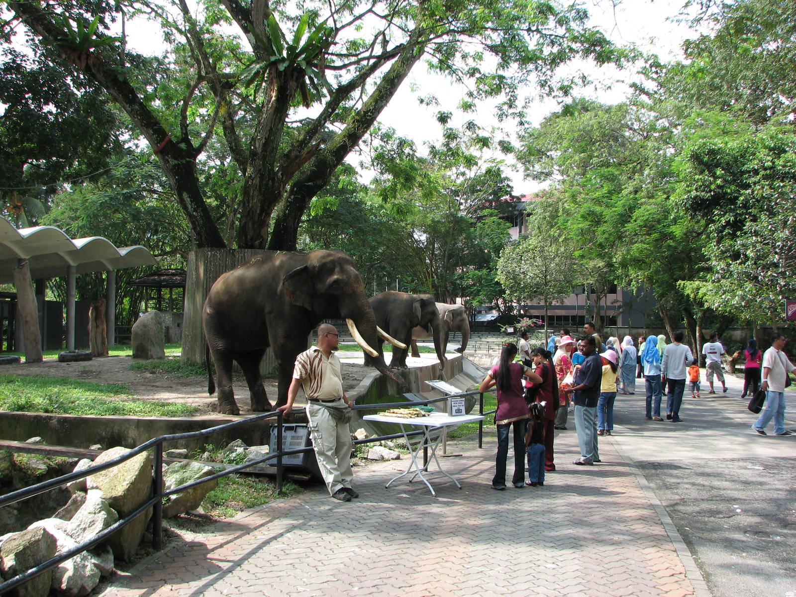 Zoo Negara Malaysia - Looking from the giraffe exhibit and towards the elep