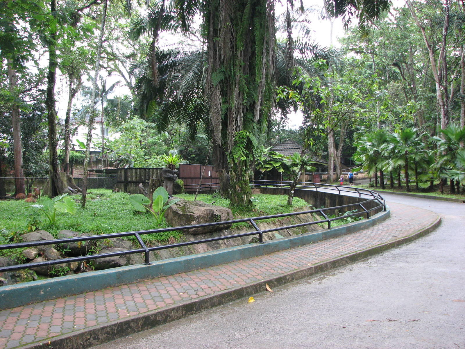 Zoo Negara Malaysia - Pathway in front of deer exhibit