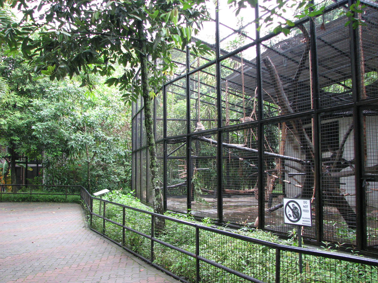 Zoo Negara Malaysia - Primate cages