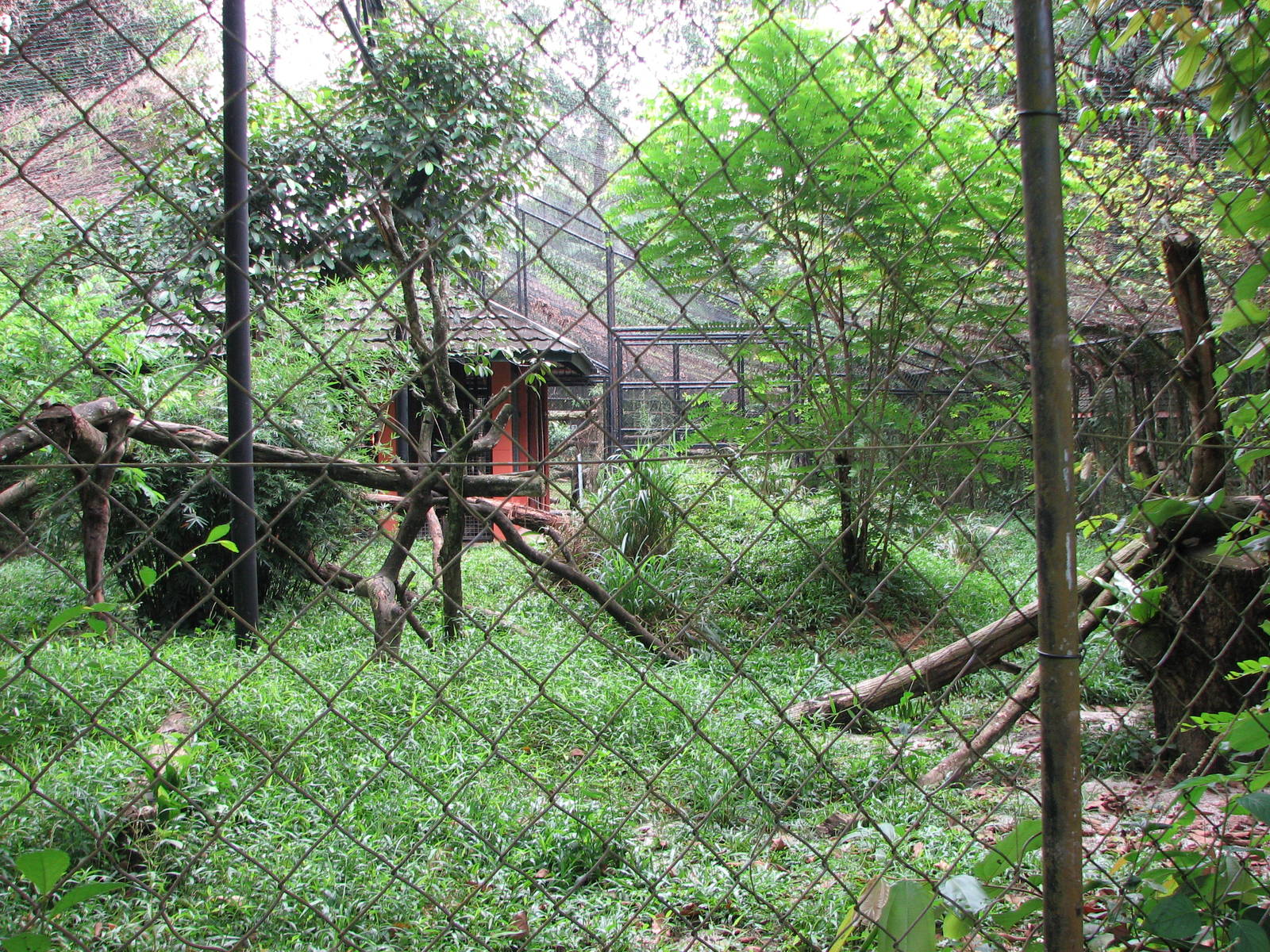 Zoo Negara Malaysia - Puma enclosure