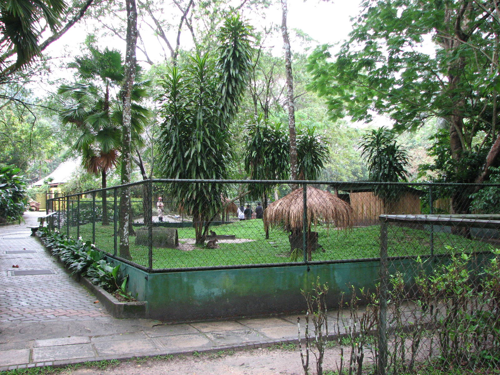 Zoo Negara Malaysia - Red-legged Pademelon enclosure