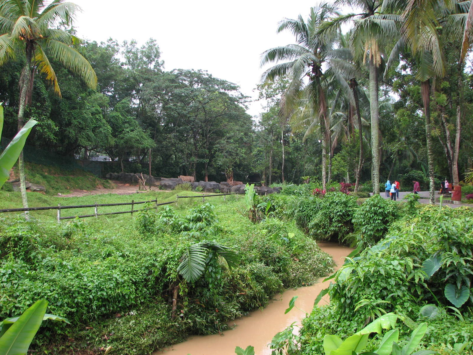 Zoo Negara Malaysia - Savannah view
