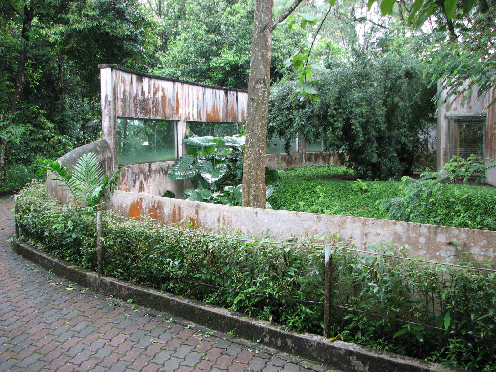 Zoo Negara Malaysia - Striped Hyena exhibit