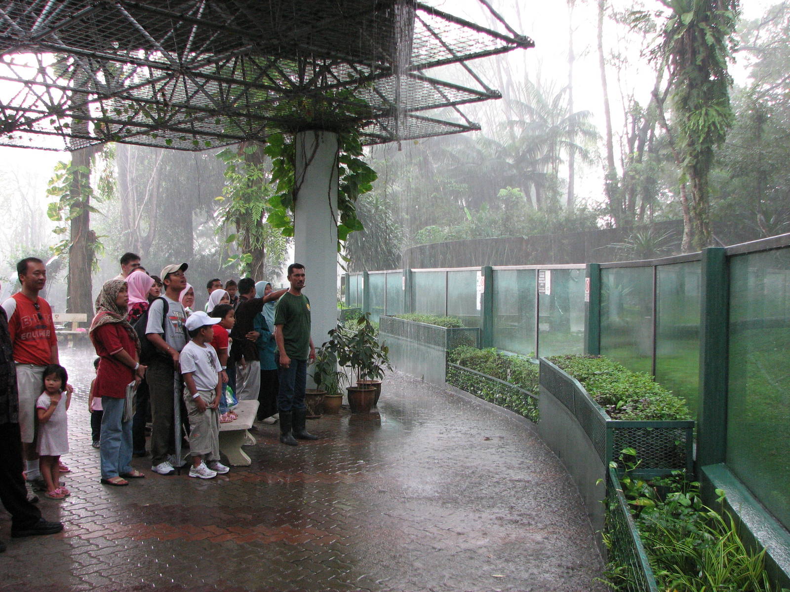 Zoo Negara Malaysia - Visitors in front of the Chimpanzee exhibit