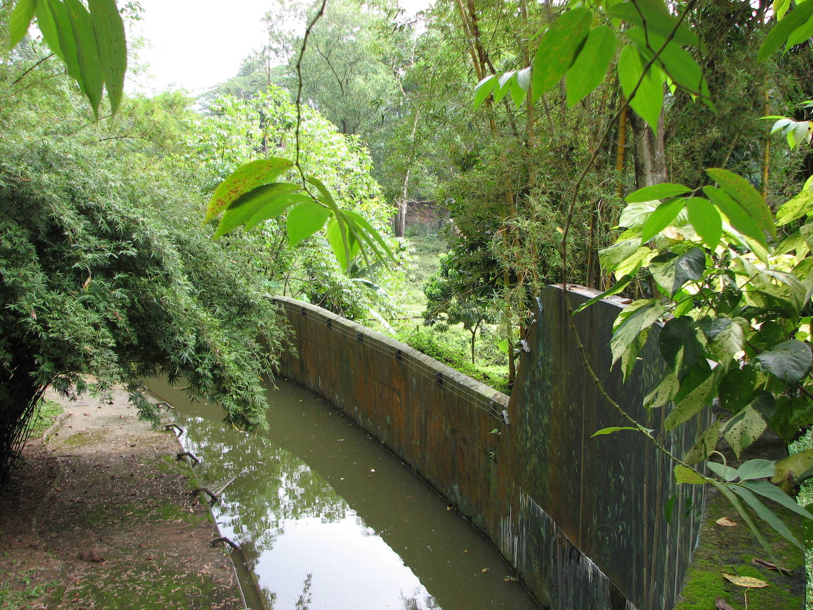 Zoo Negara Malaysia - Water moat of the Sumatran Orangutan exhibit