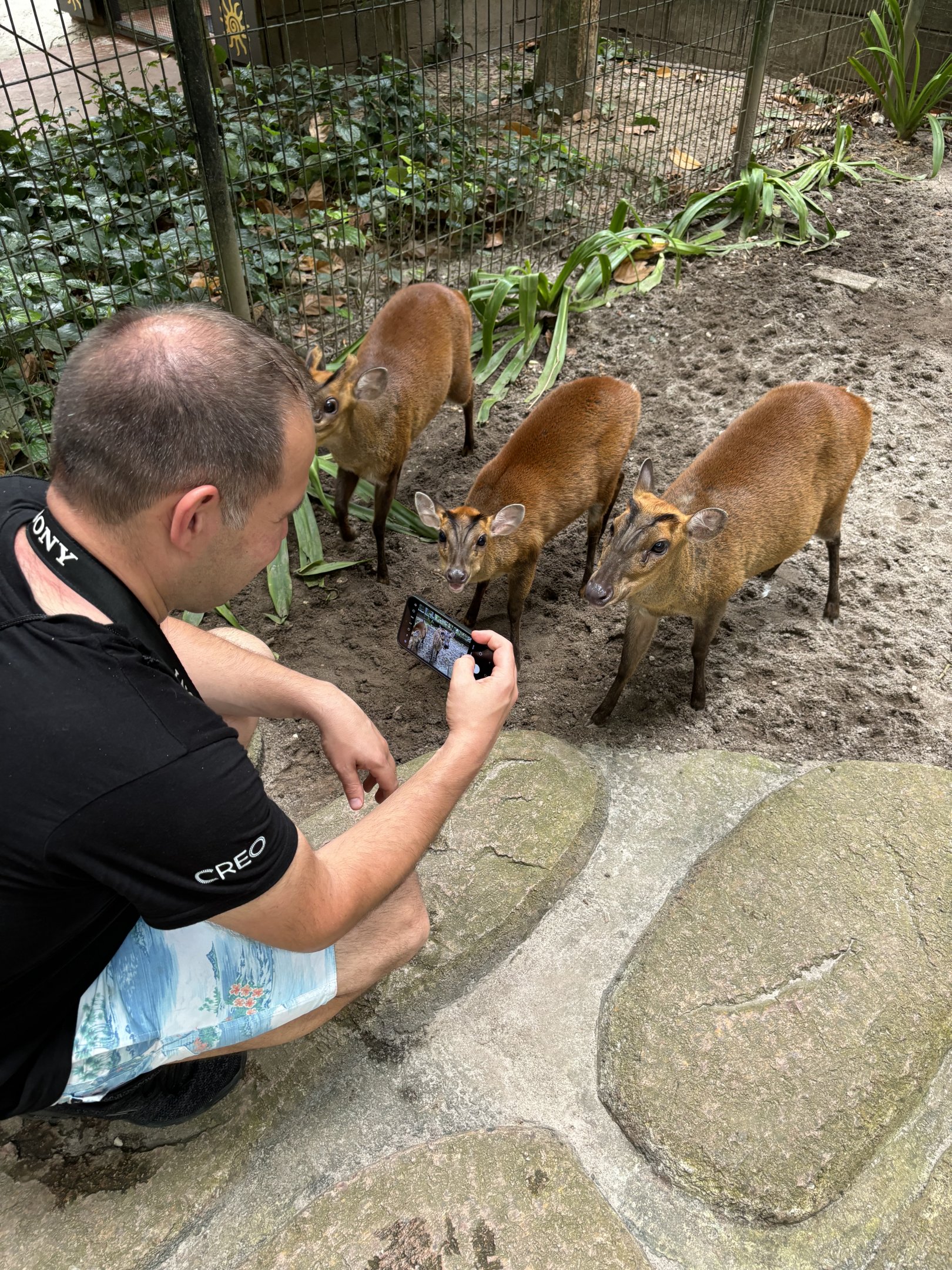 Zoo Nerd + Barking Deer - Lost World of Tambun