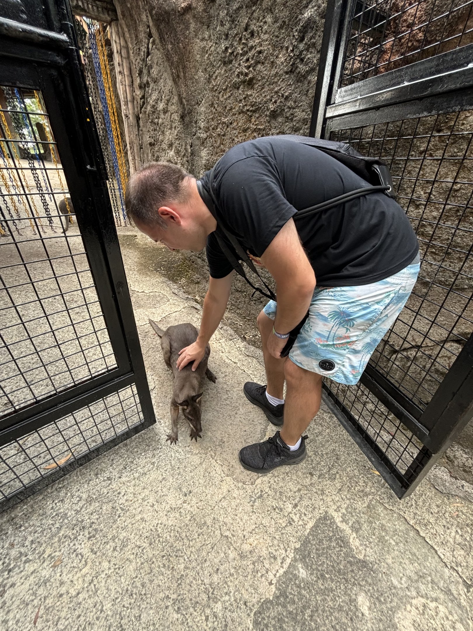 Zoo Nerd + Dusky Pademelon