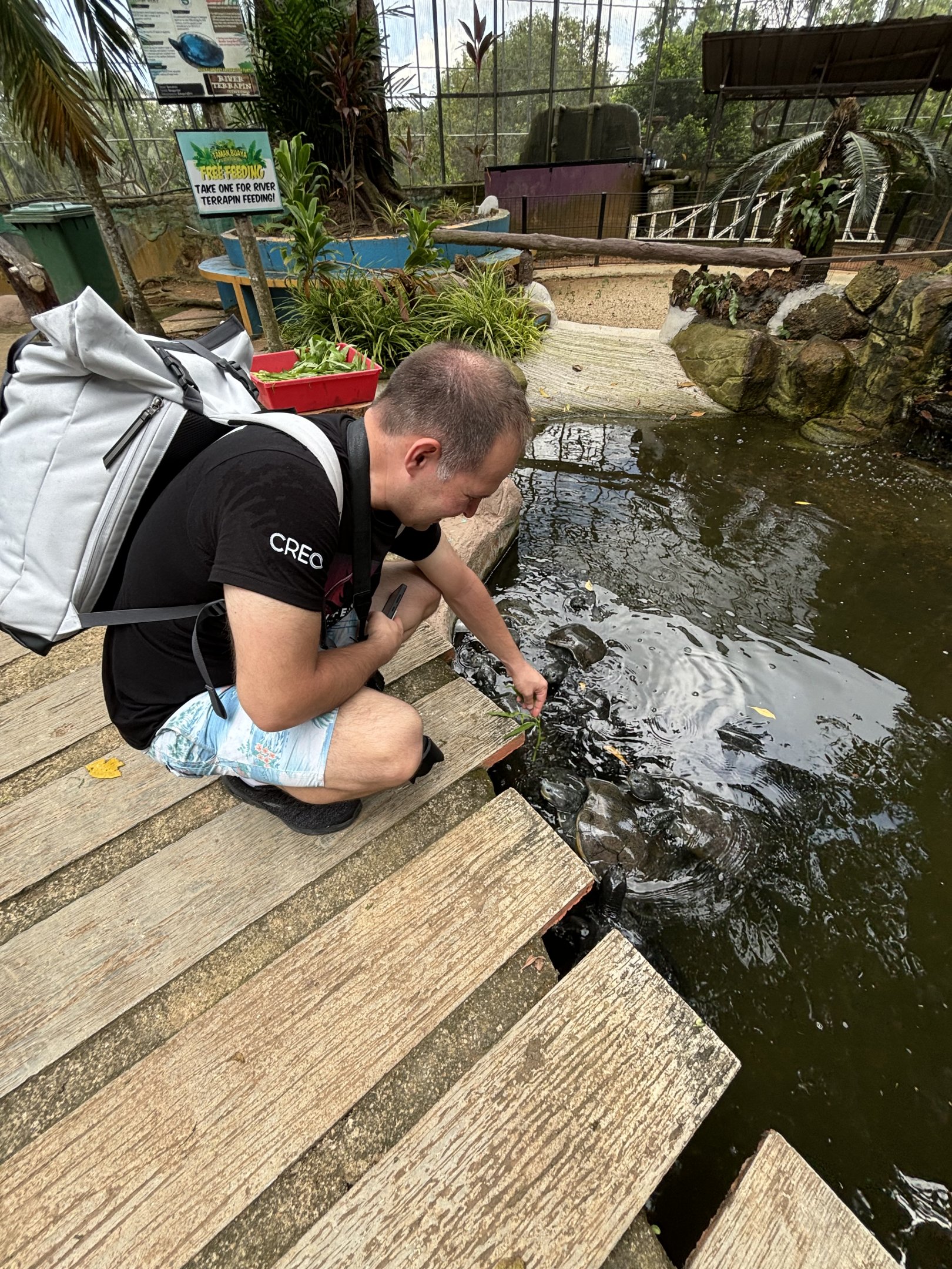 Zoo Nerd feeding River Terrapins