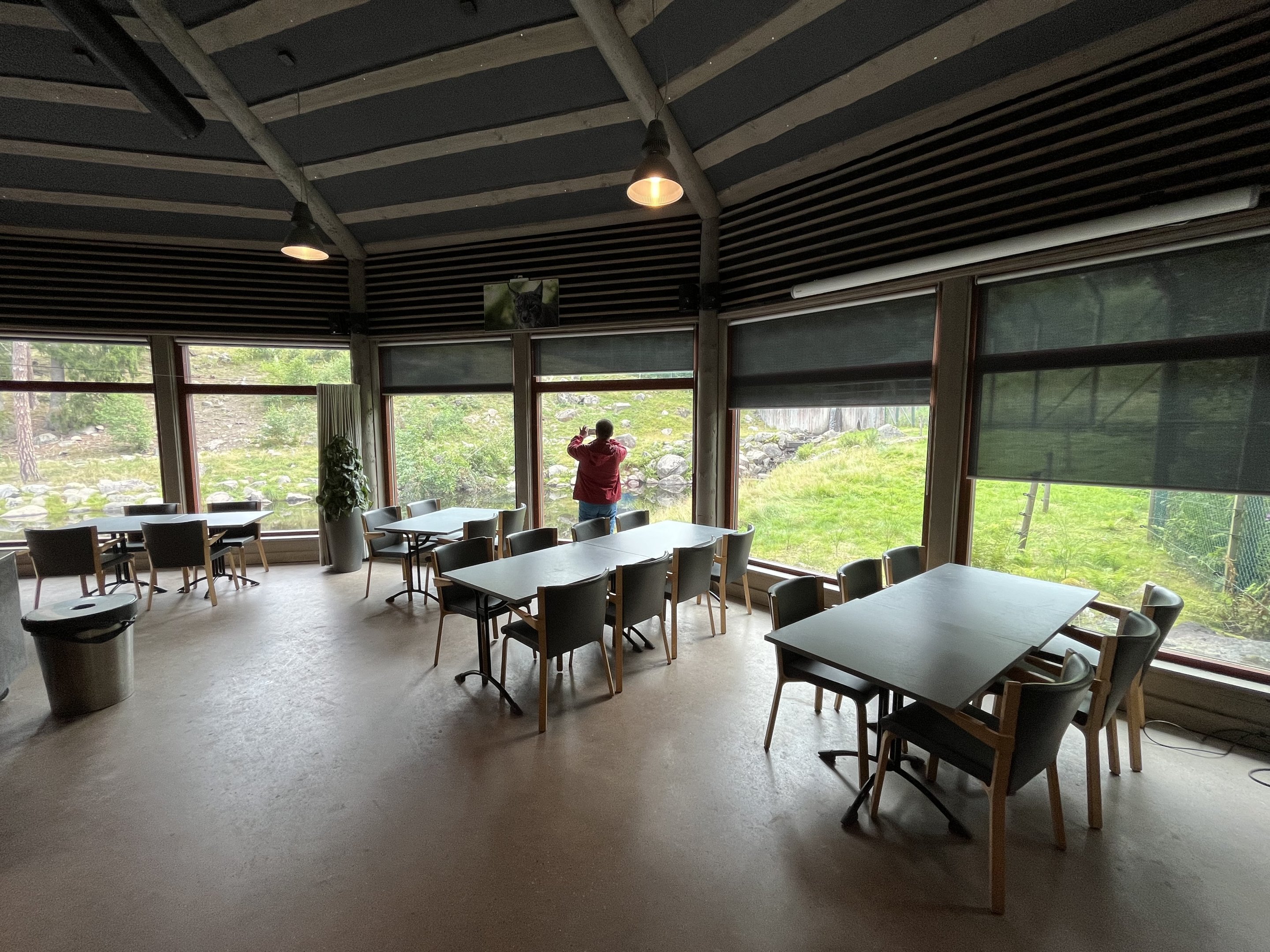 Zoo Nerd in Restaurant