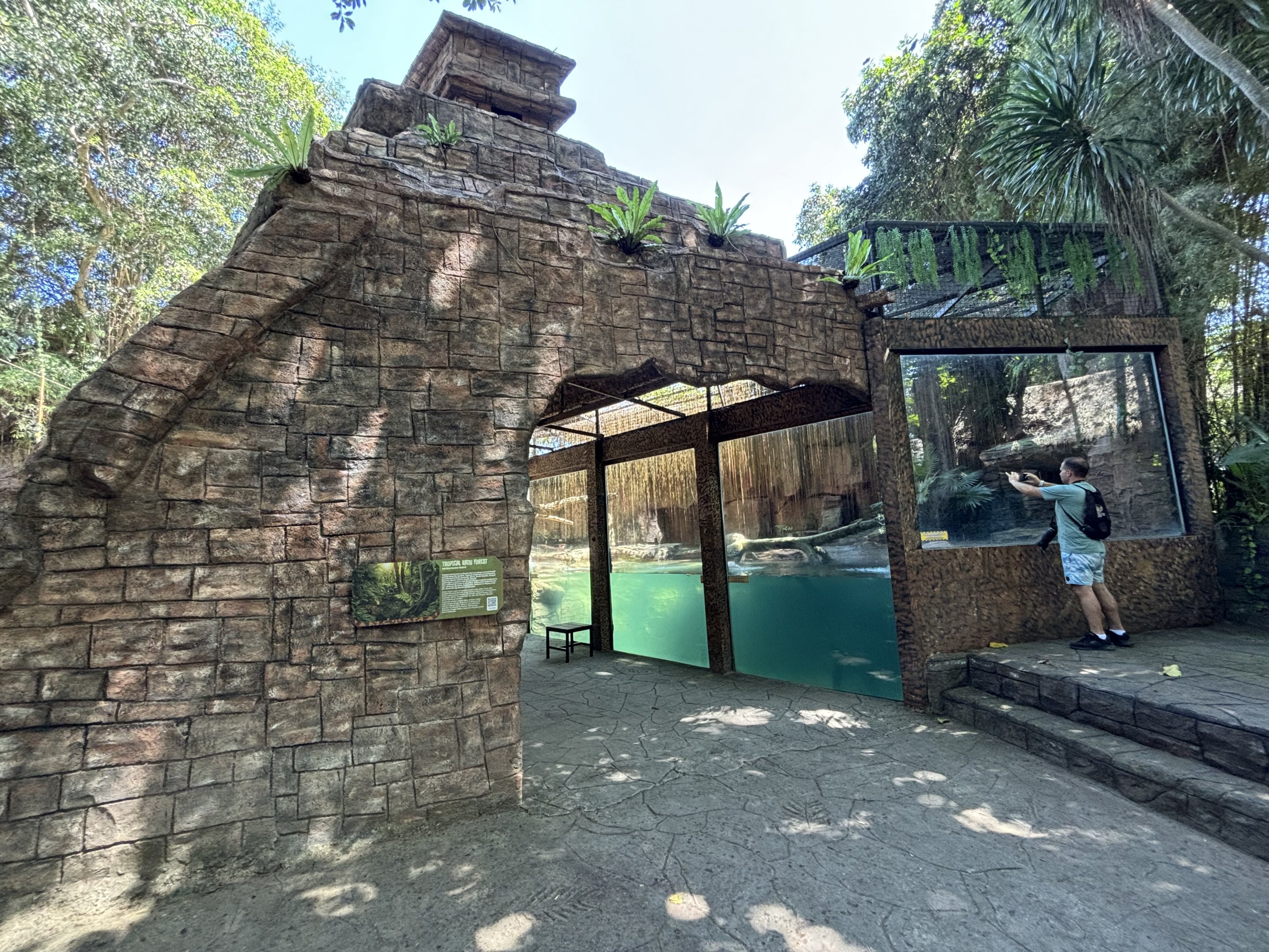 Zoo Nerd + Jaguar Exhibit