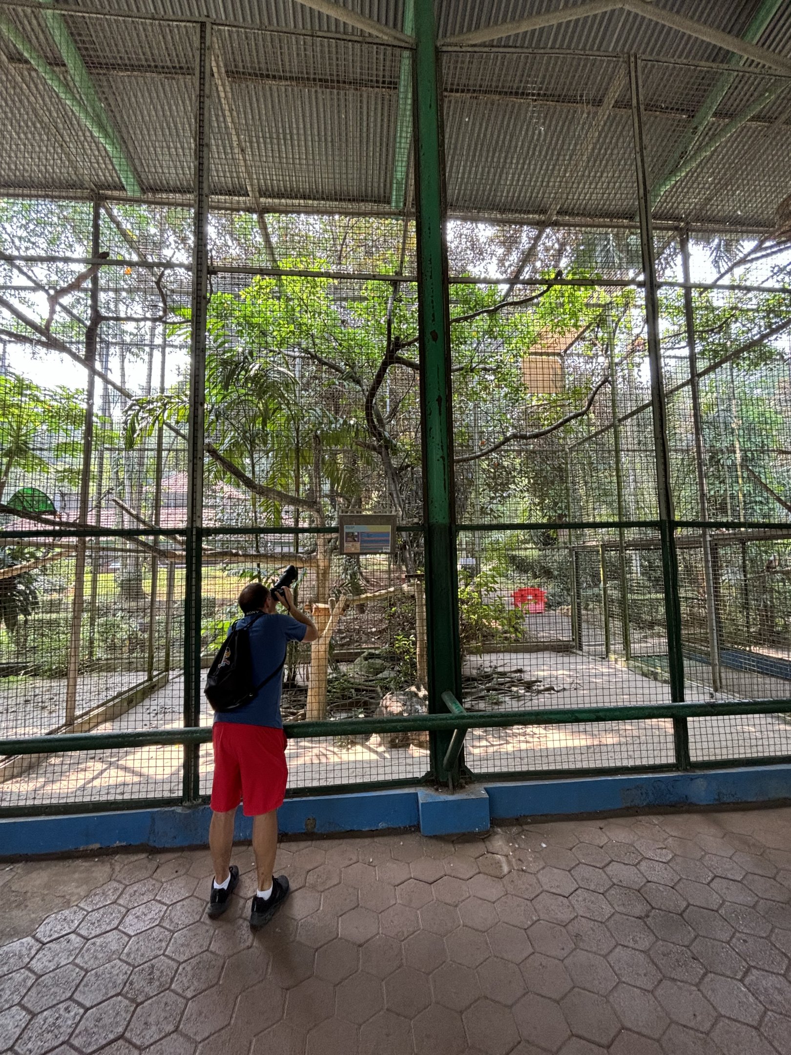 Zoo Nerd + Javan Hawk Eagle Aviary