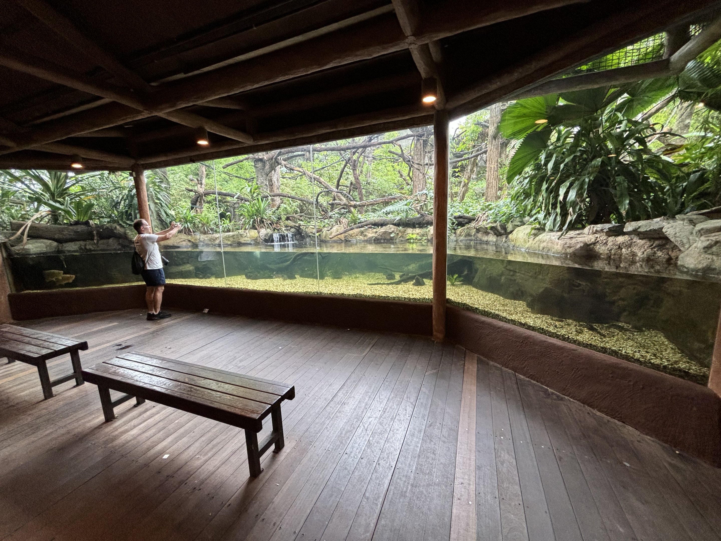 Zoo Nerd + Proboscis Monkey Exhibit