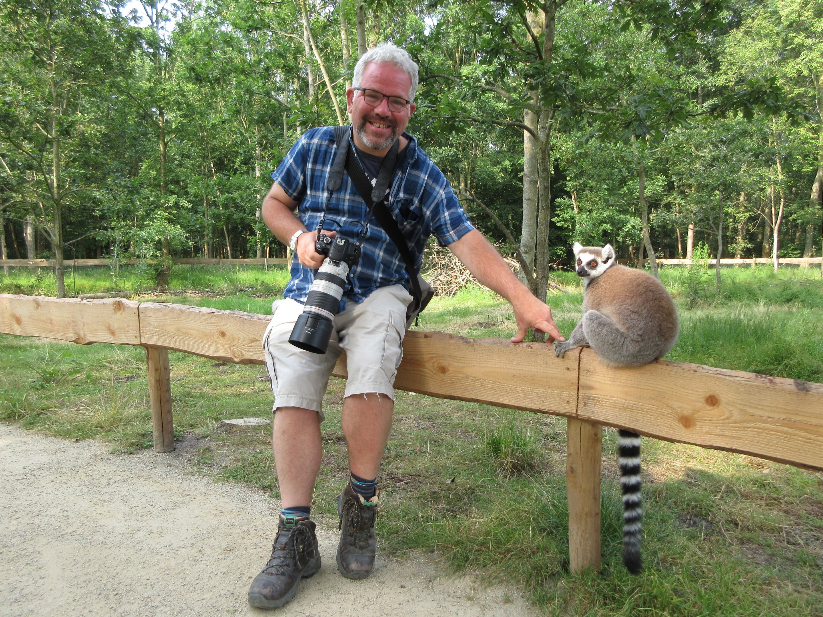 Zoo Nerd + Ring-tailed Lemur