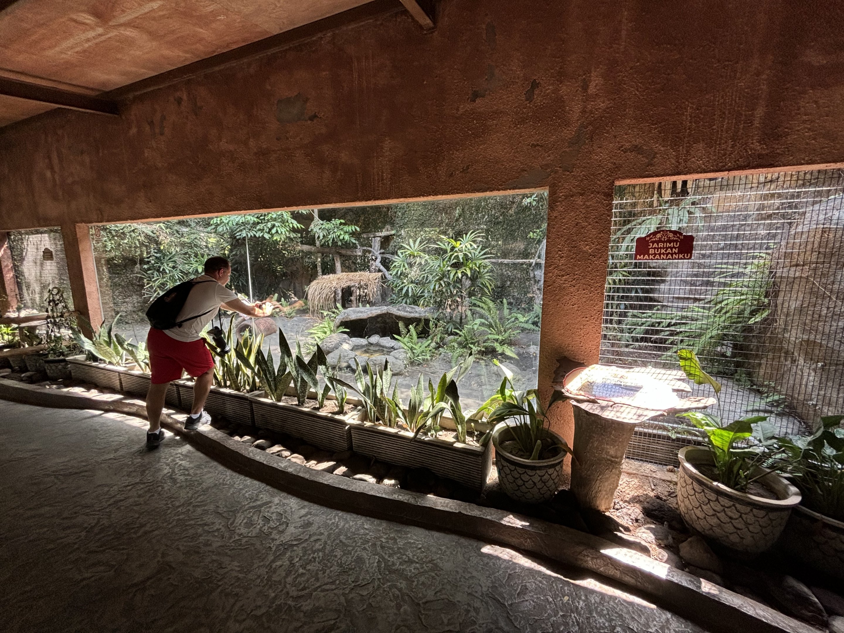 Zoo Nerd + Serval Exhibit