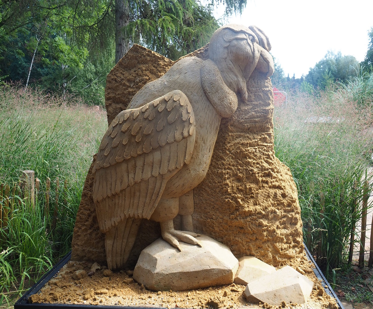 "Zoo of Sand" event - Andean condor sand sculpture, 2022-08-20