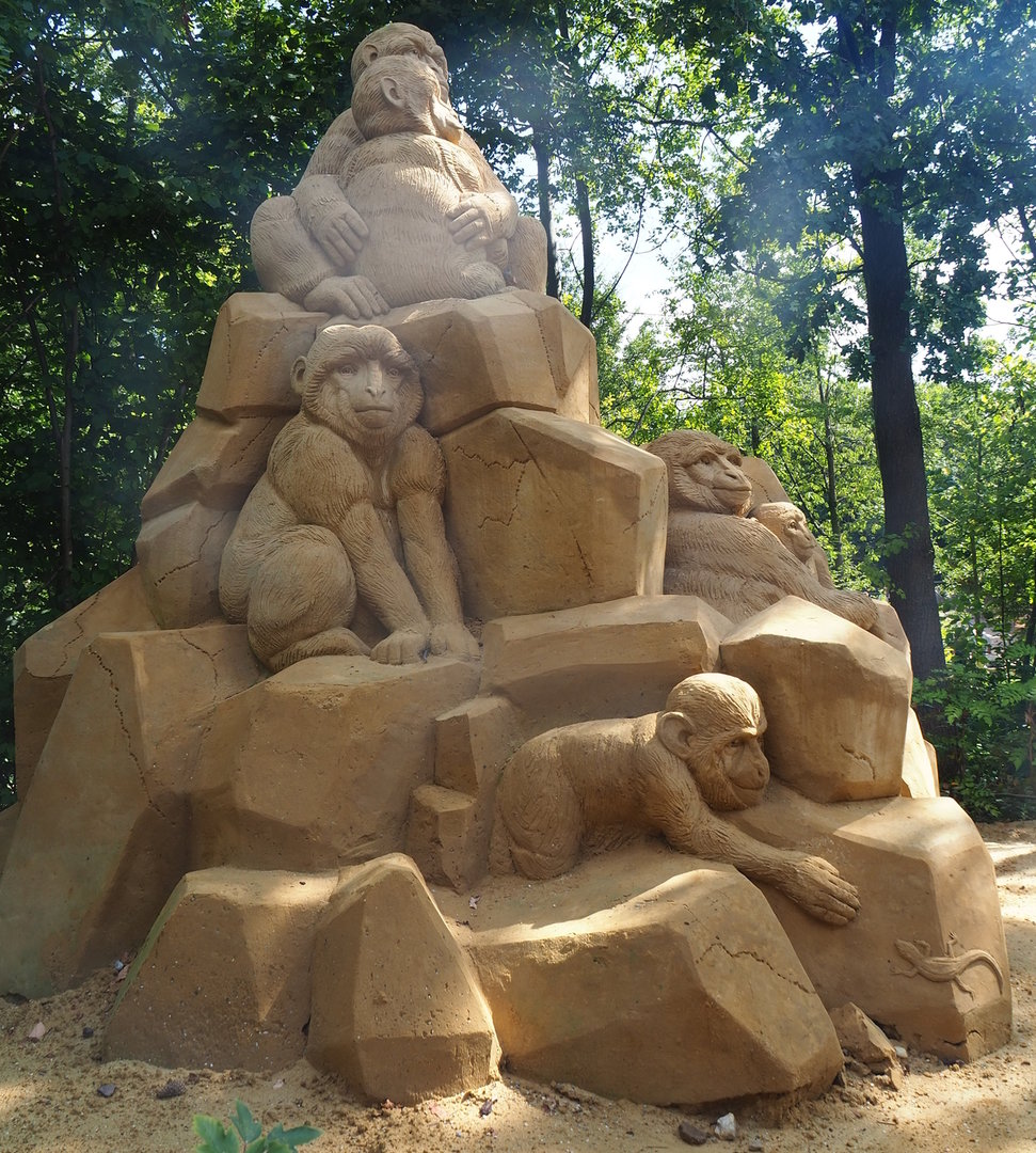 "Zoo of Sand" event - Barbary macaque rock sand sculpture, 2022-08-20