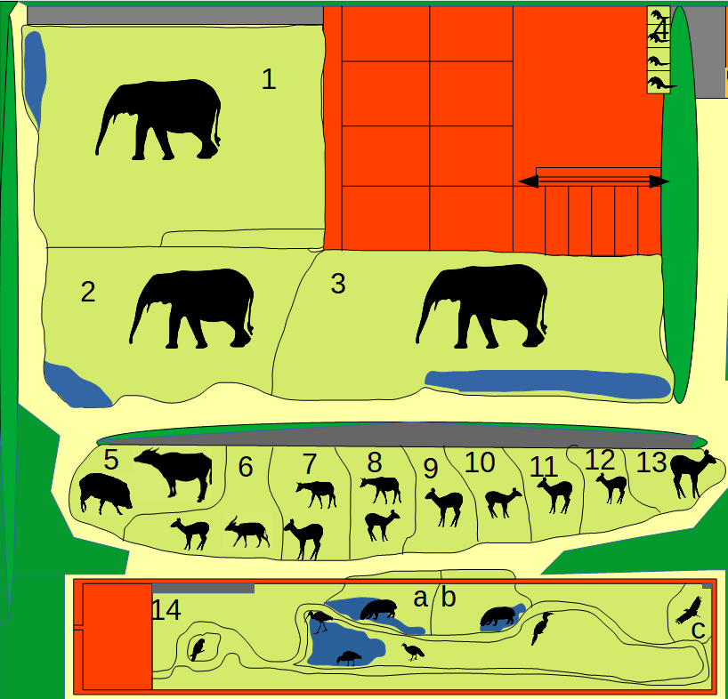 Zoo of Sardinia - Congolese Adventure