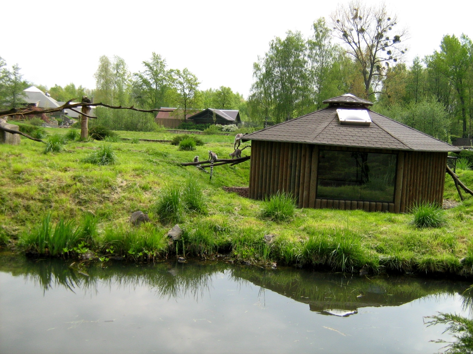 Zoo Opole - Playground lemur