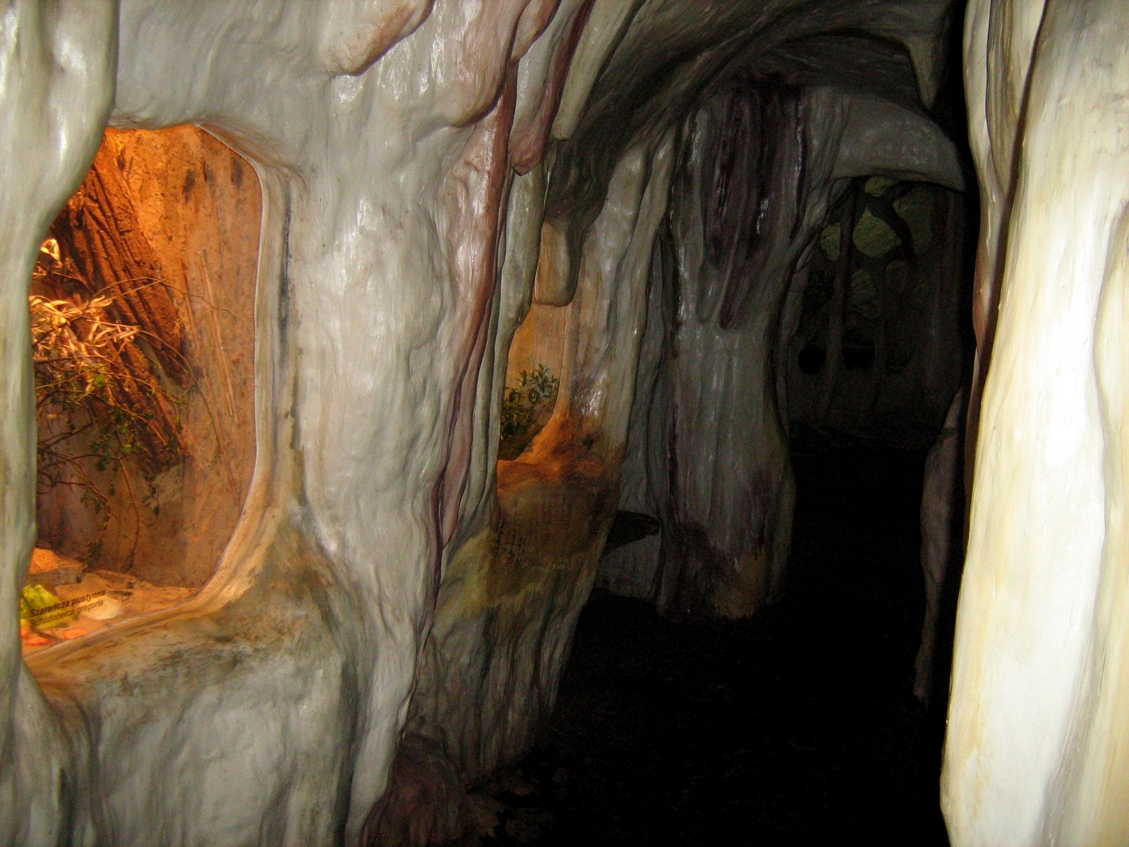 Zoo Opole-World of insect