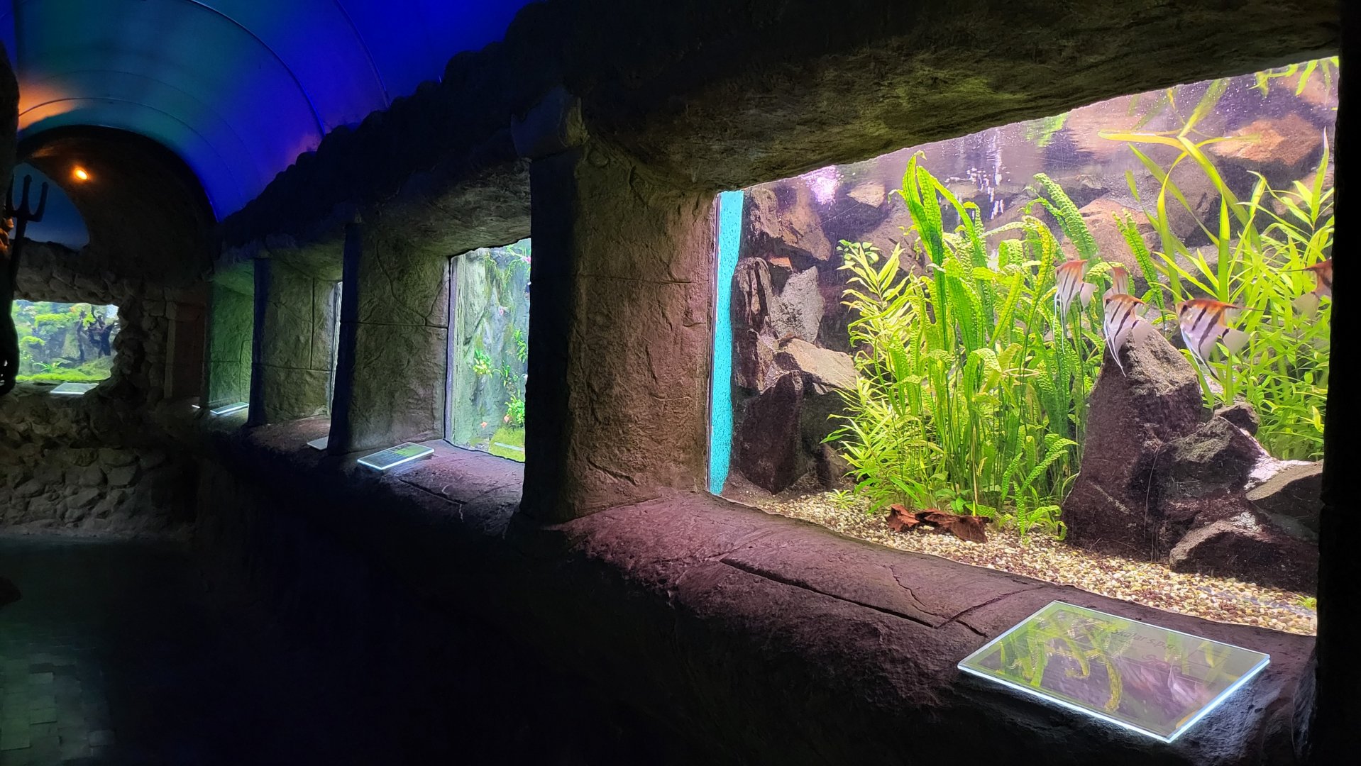Zoo Osijek - "Terrarium aquarium" building