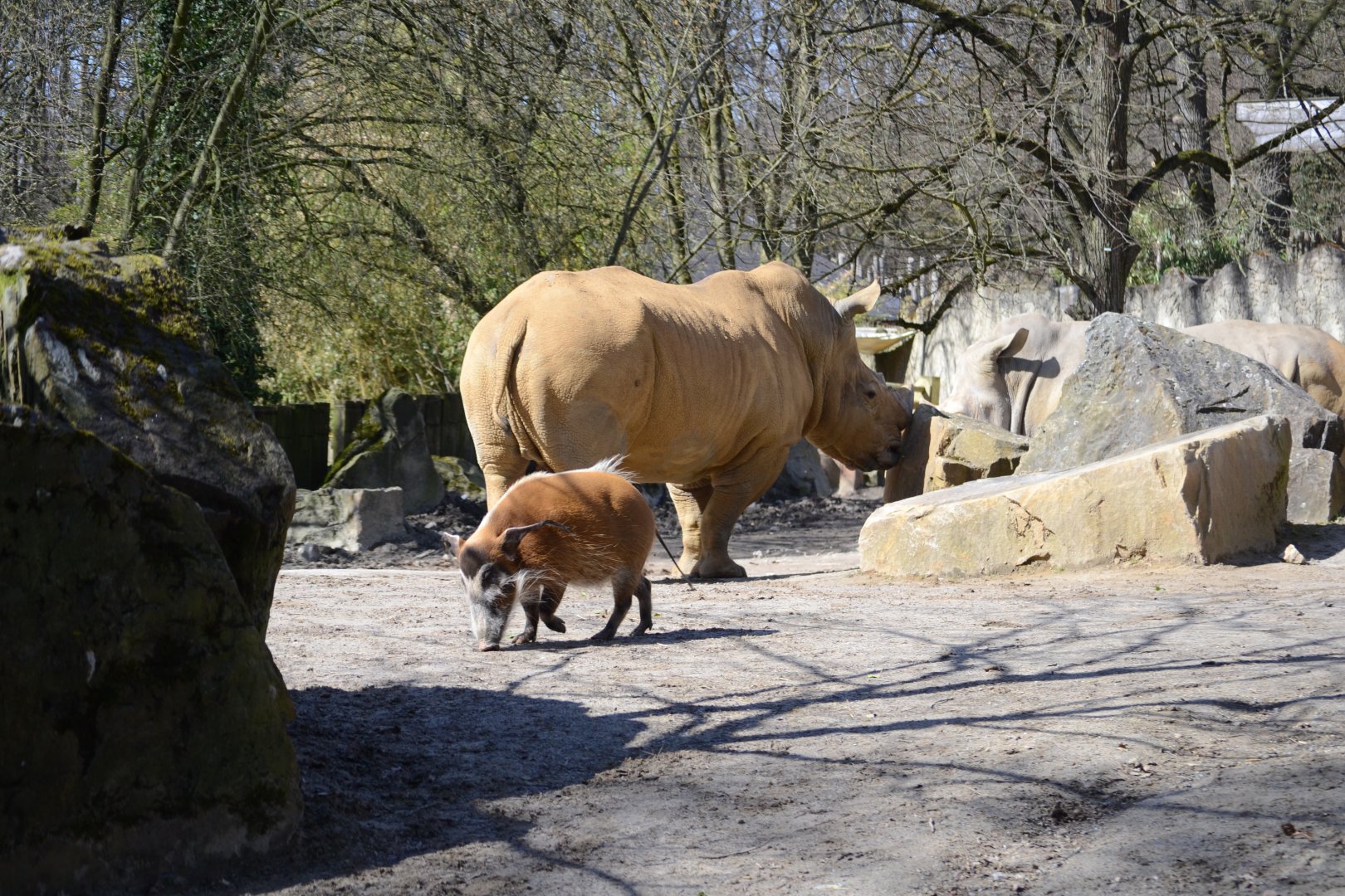 Zoo Osnabrück