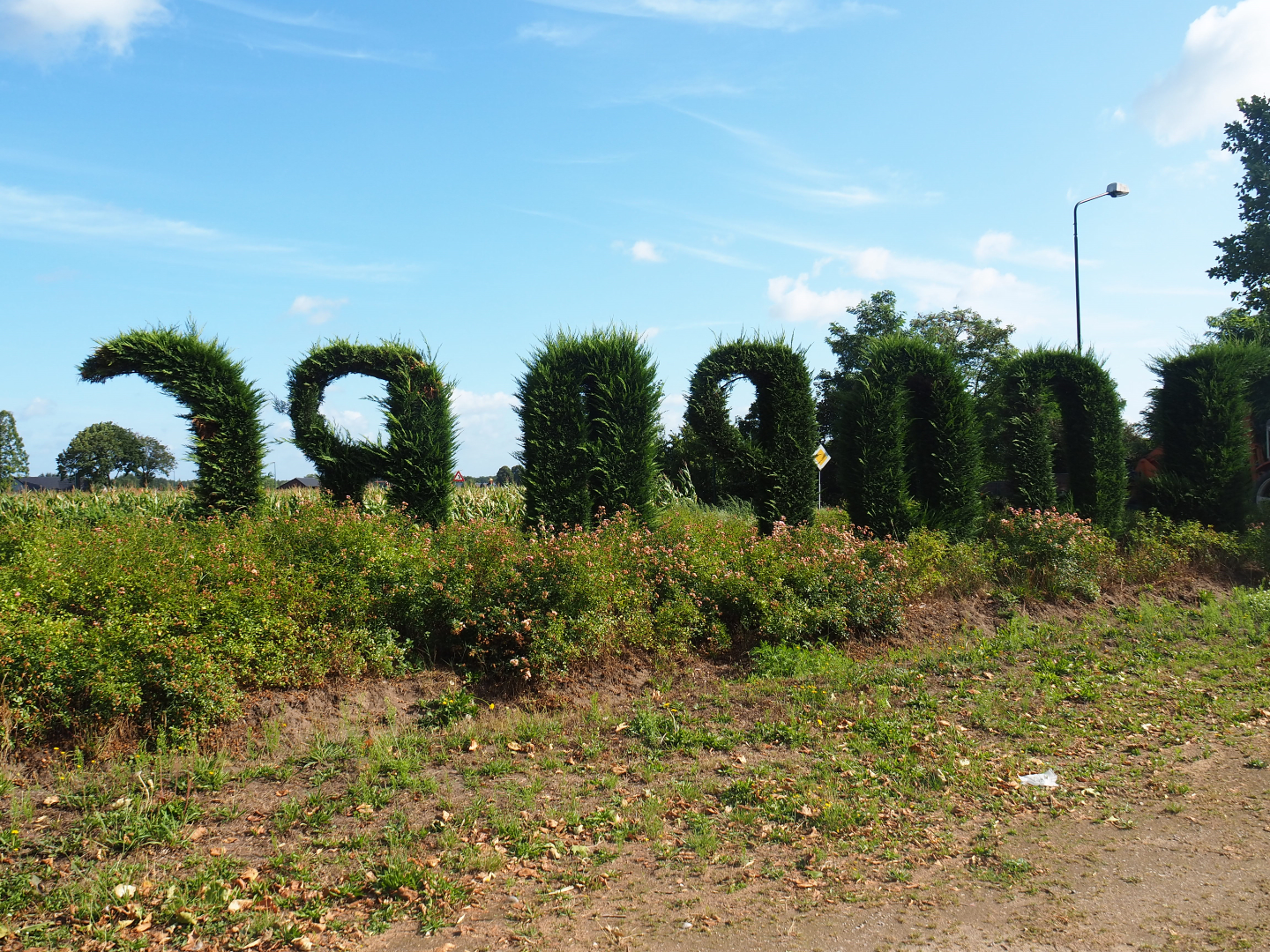Zoo Parc topiary letters (Seen from the backside), 2019-06-01