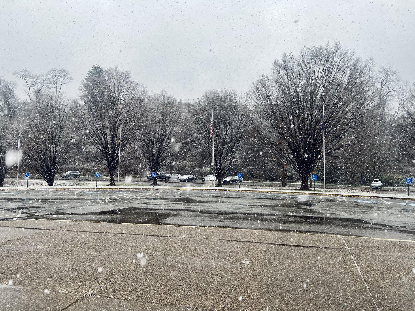 Zoo Parking Lot - Midday