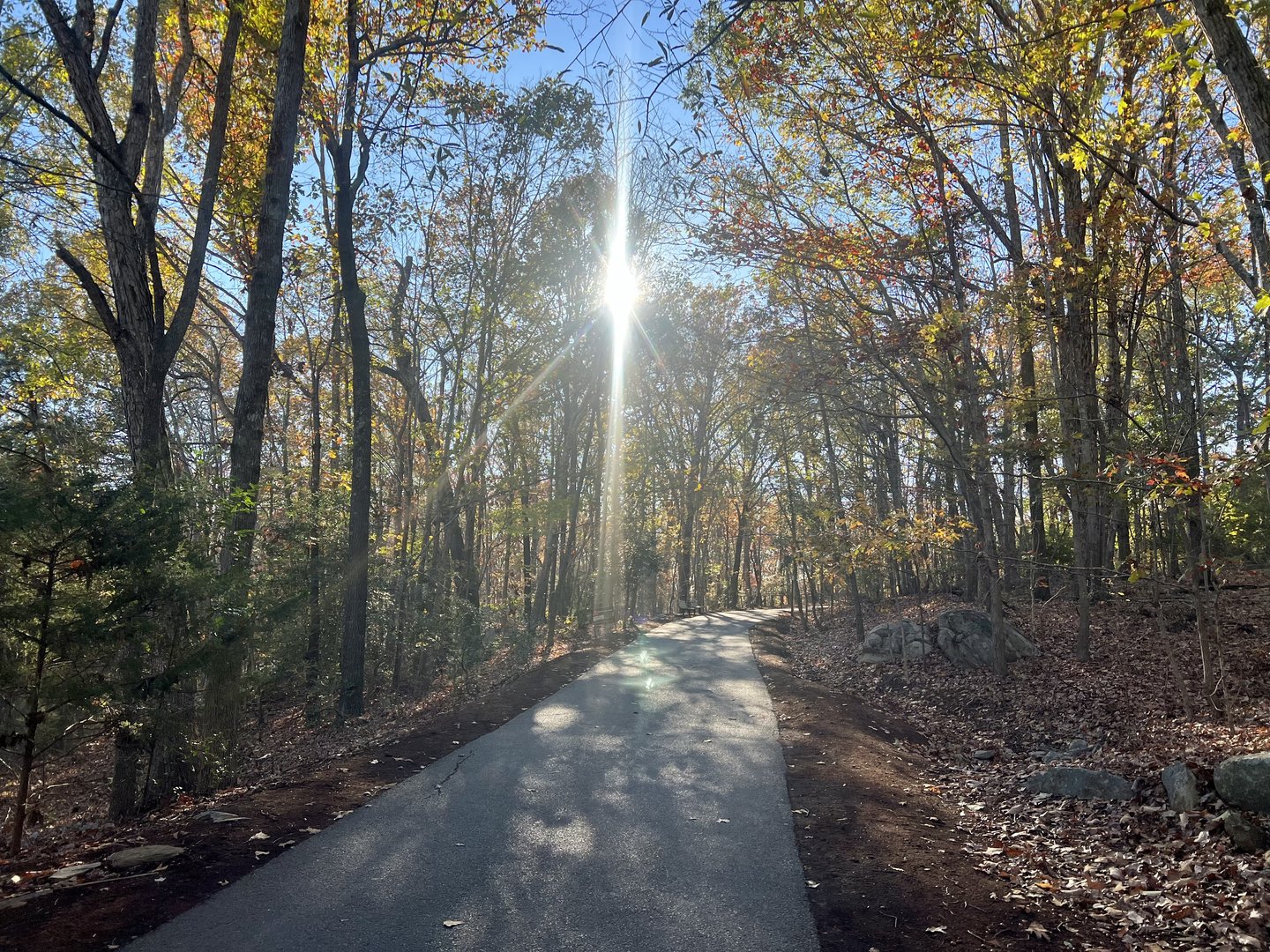 Zoo Path back toward the North American Exhibits