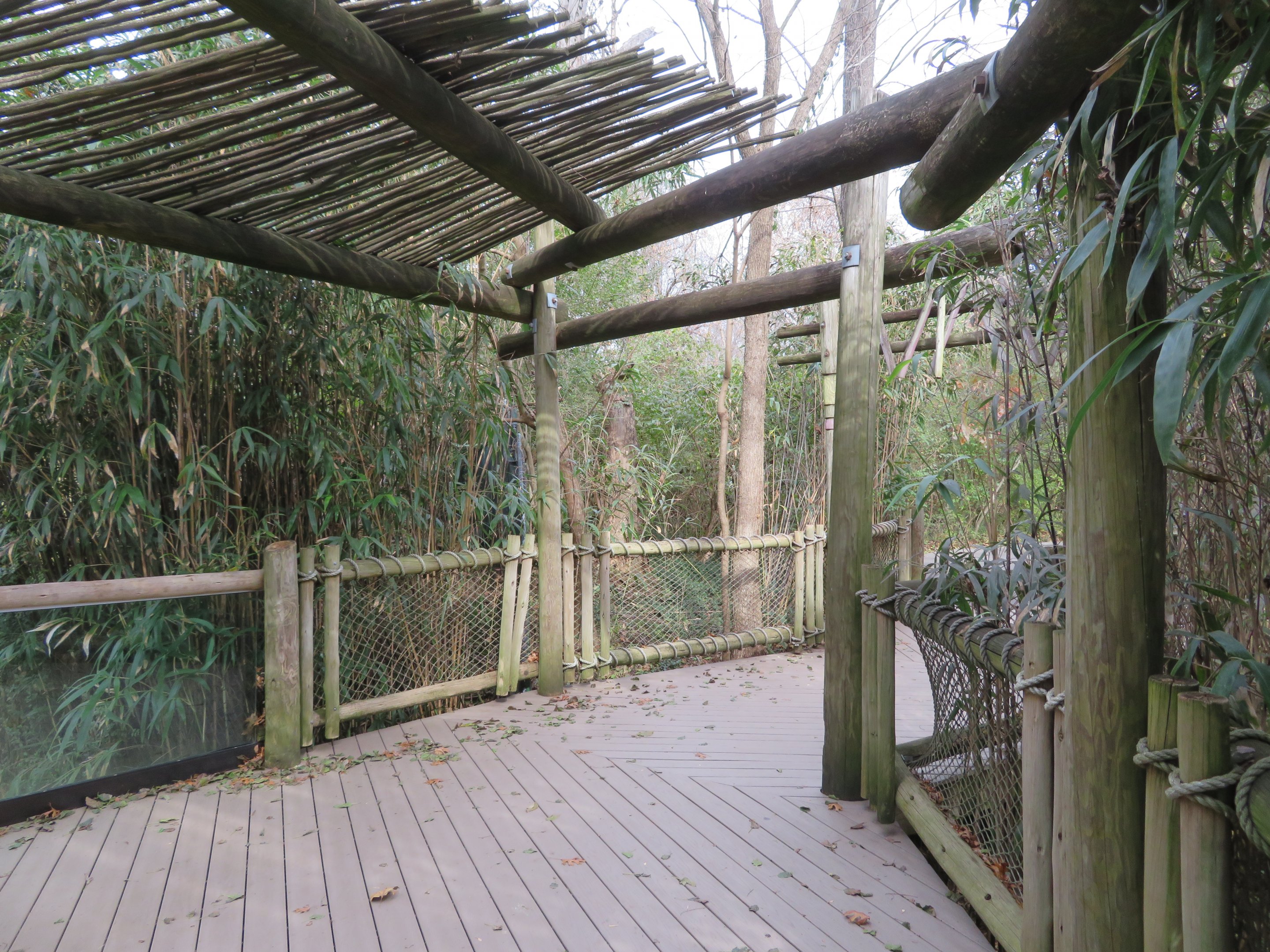 Zoo Path/Boardwalk