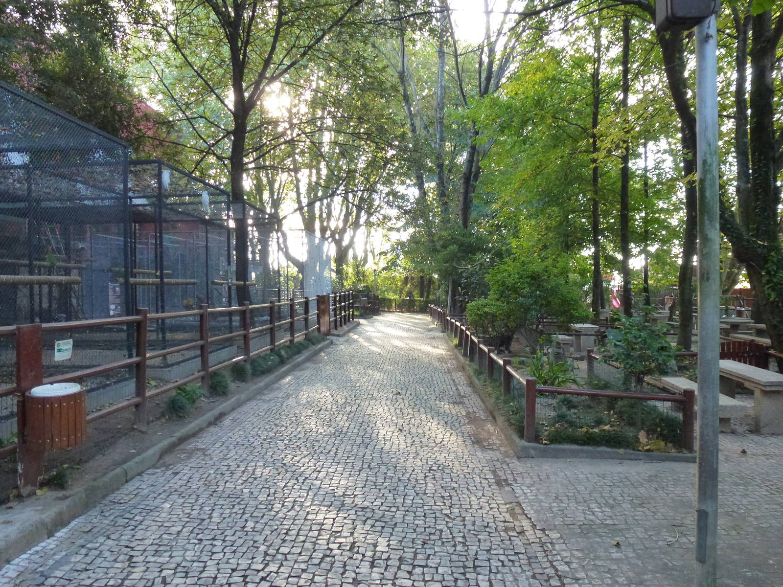Zoo path, November 2013.