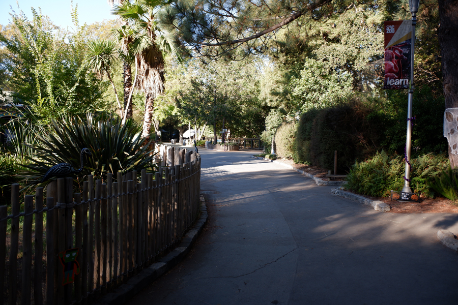 zoo path