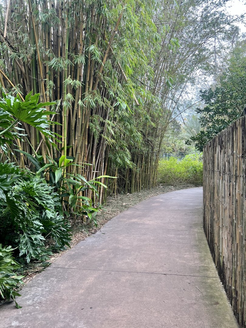 Zoo Path