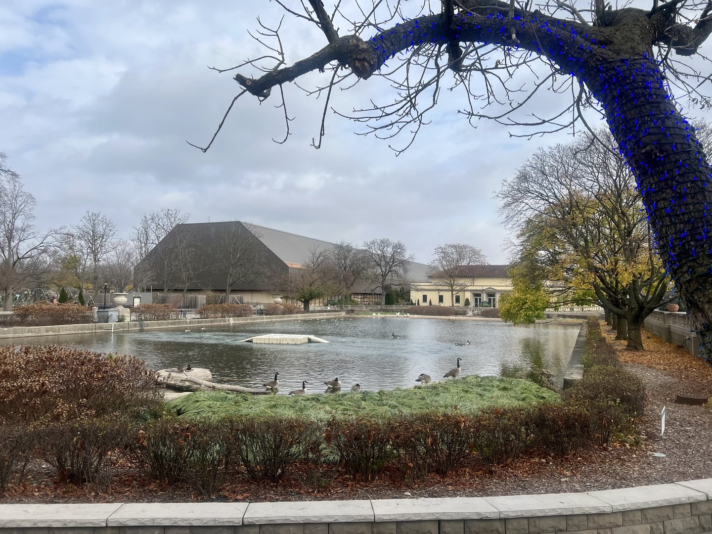 Zoo Pond