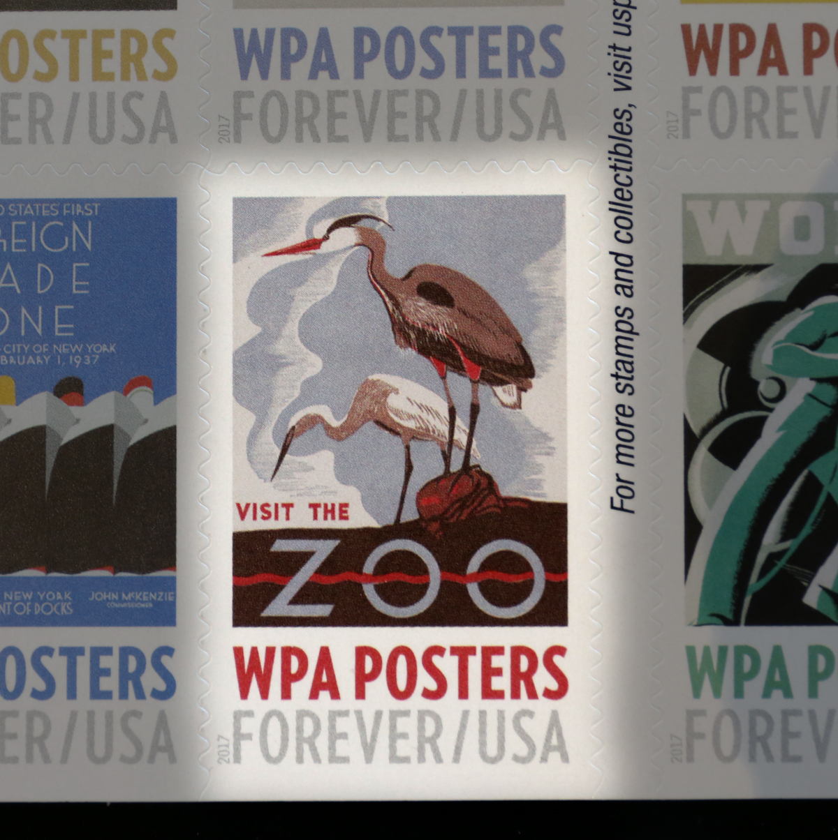 Zoo Postage Stamp