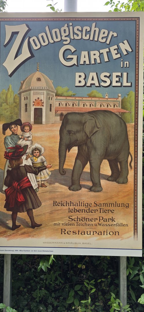 Zoo poster display