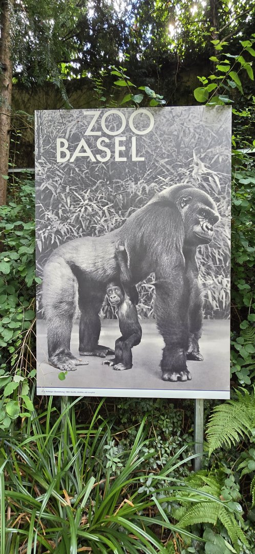 Zoo poster display