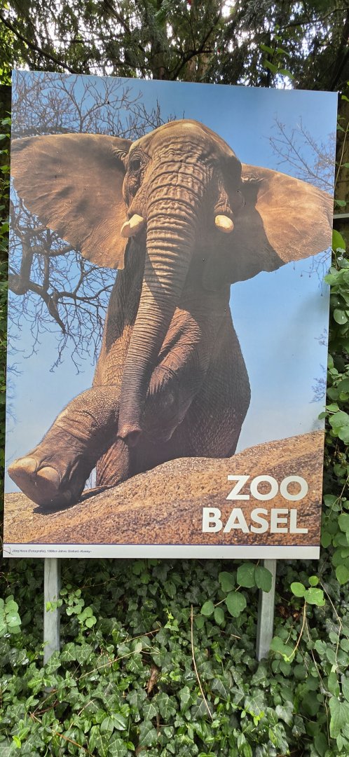Zoo poster display