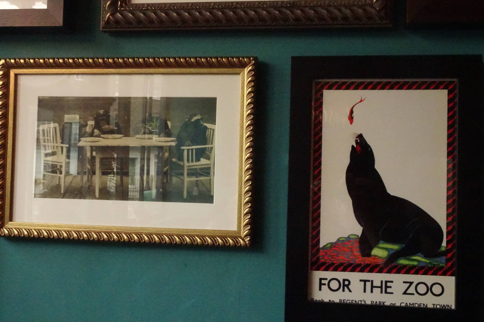 Zoo posters, September 2016