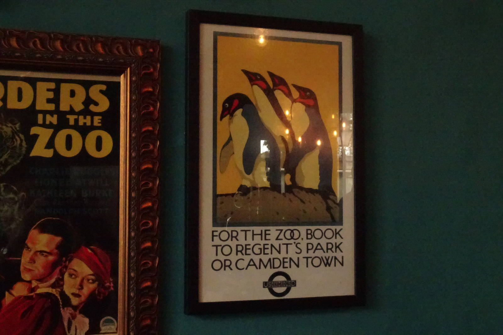 Zoo posters, September 2016