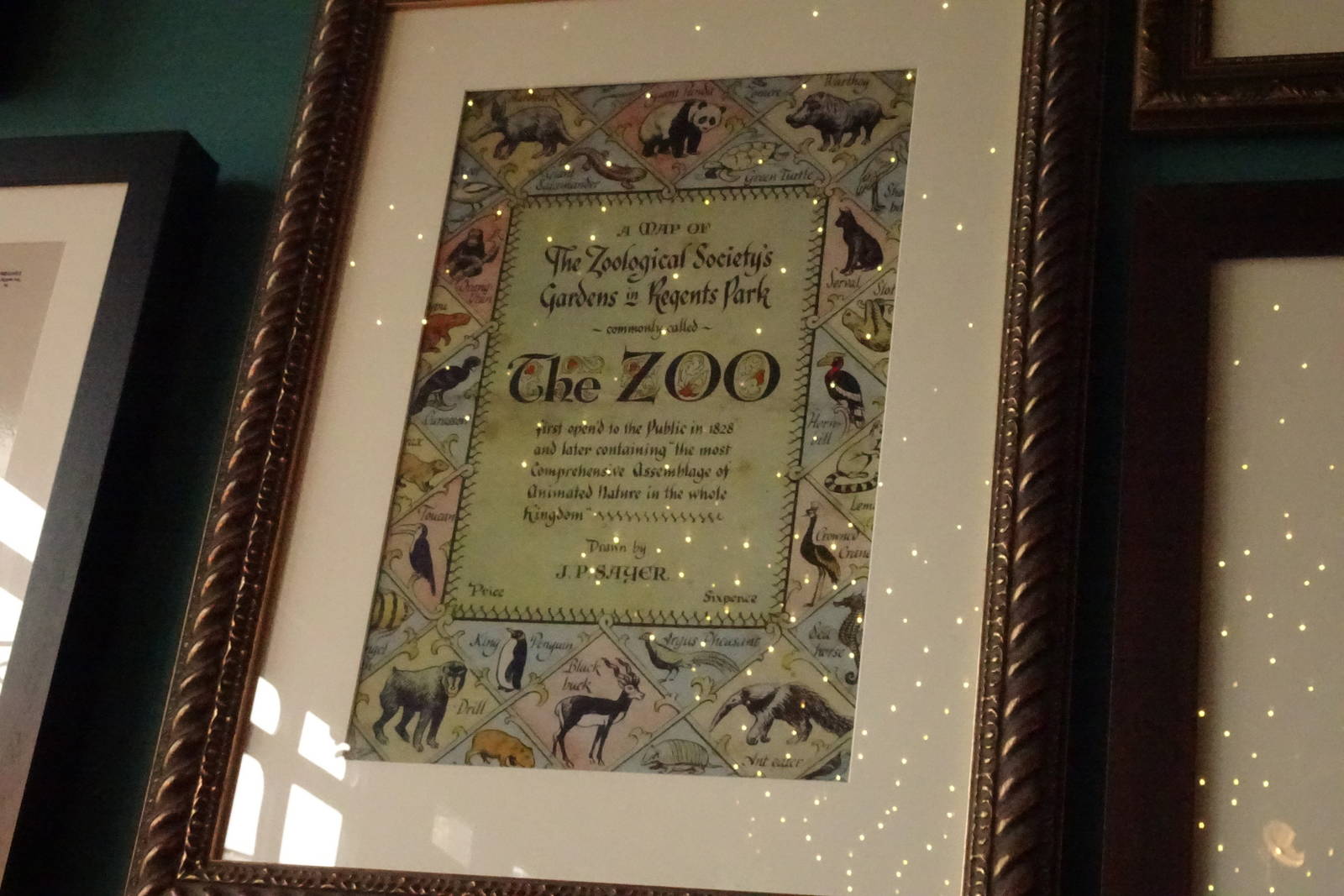 Zoo posters, September 2016