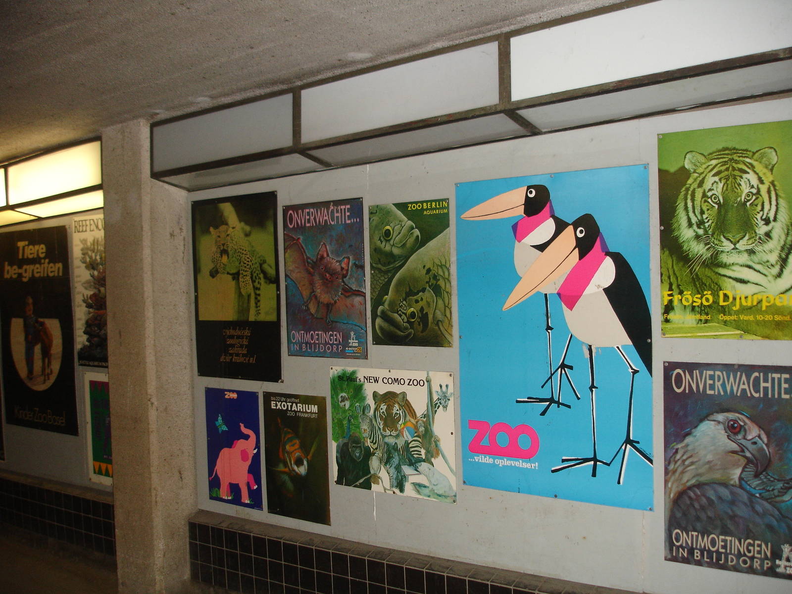 Zoo Posters