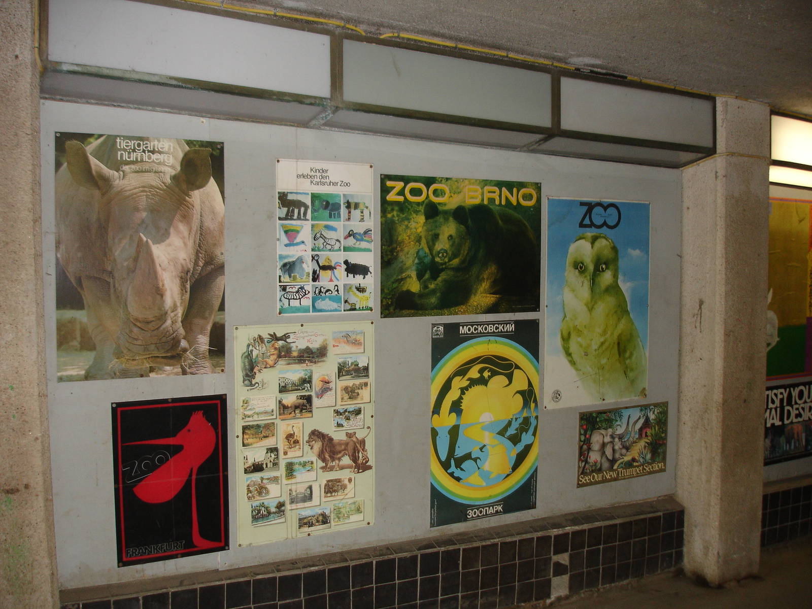 Zoo Posters