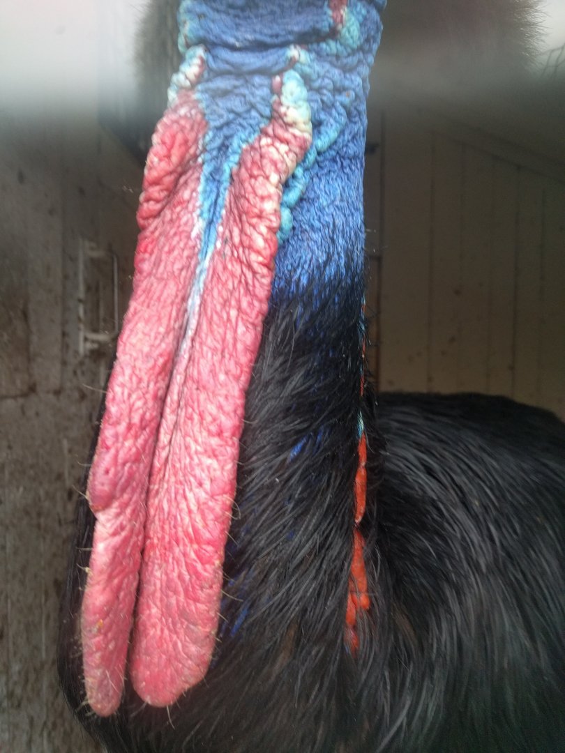 Zoo Praha 2018 Photo Quiz