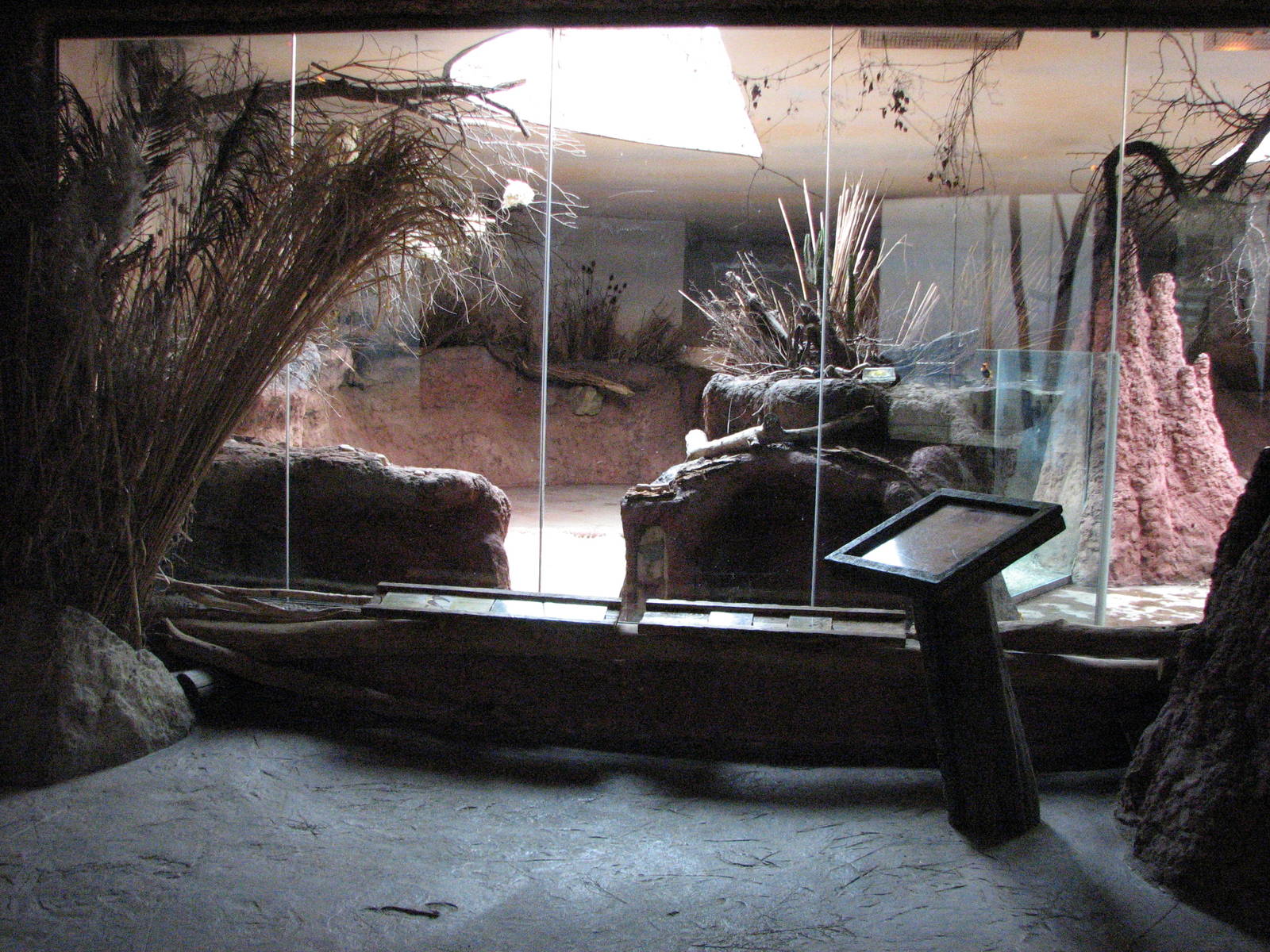 Zoo Praha - Aardvark exhibit