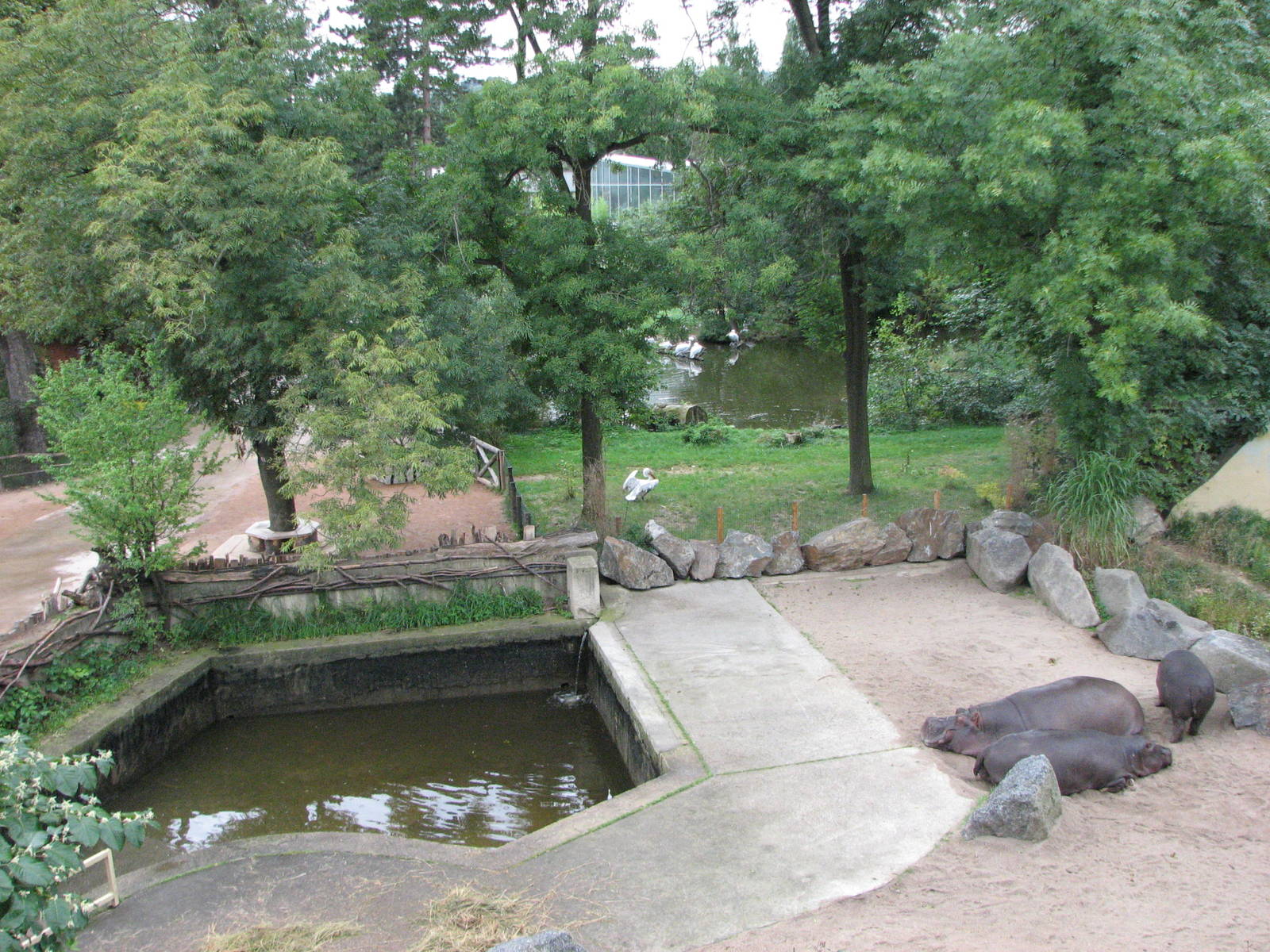 Zoo Praha - Aerial view of the Hippopotamus exhibit from the Elephant Pavil