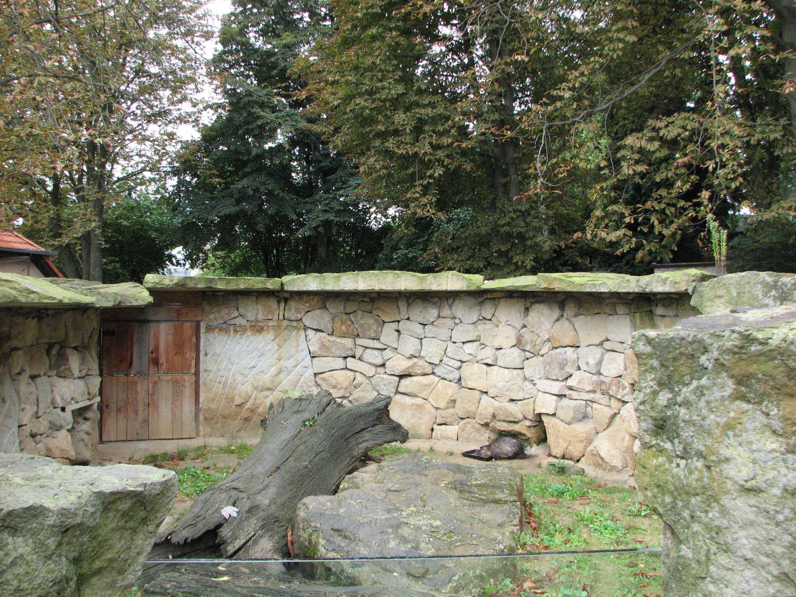 Zoo Praha - African Brush-Tailed Porcupine exhibit